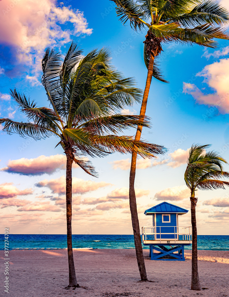 AdobeStock_377274702_Preview